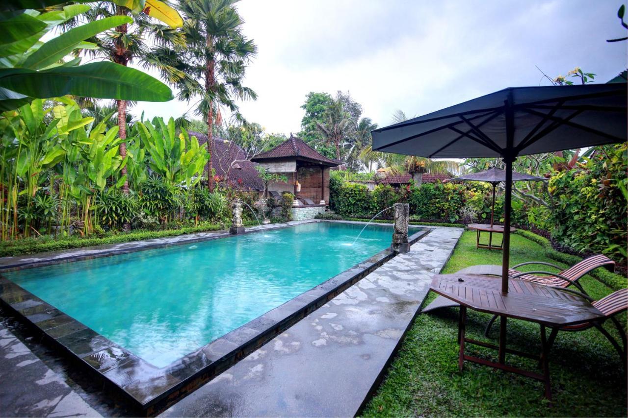 Bali Dream Ubud